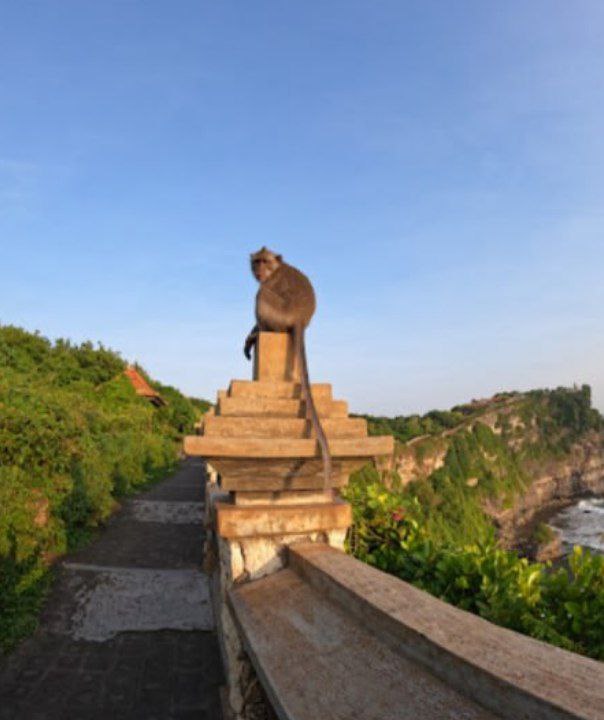 Viewing platform Uluwatu Temple Bali Viewpoint 154273