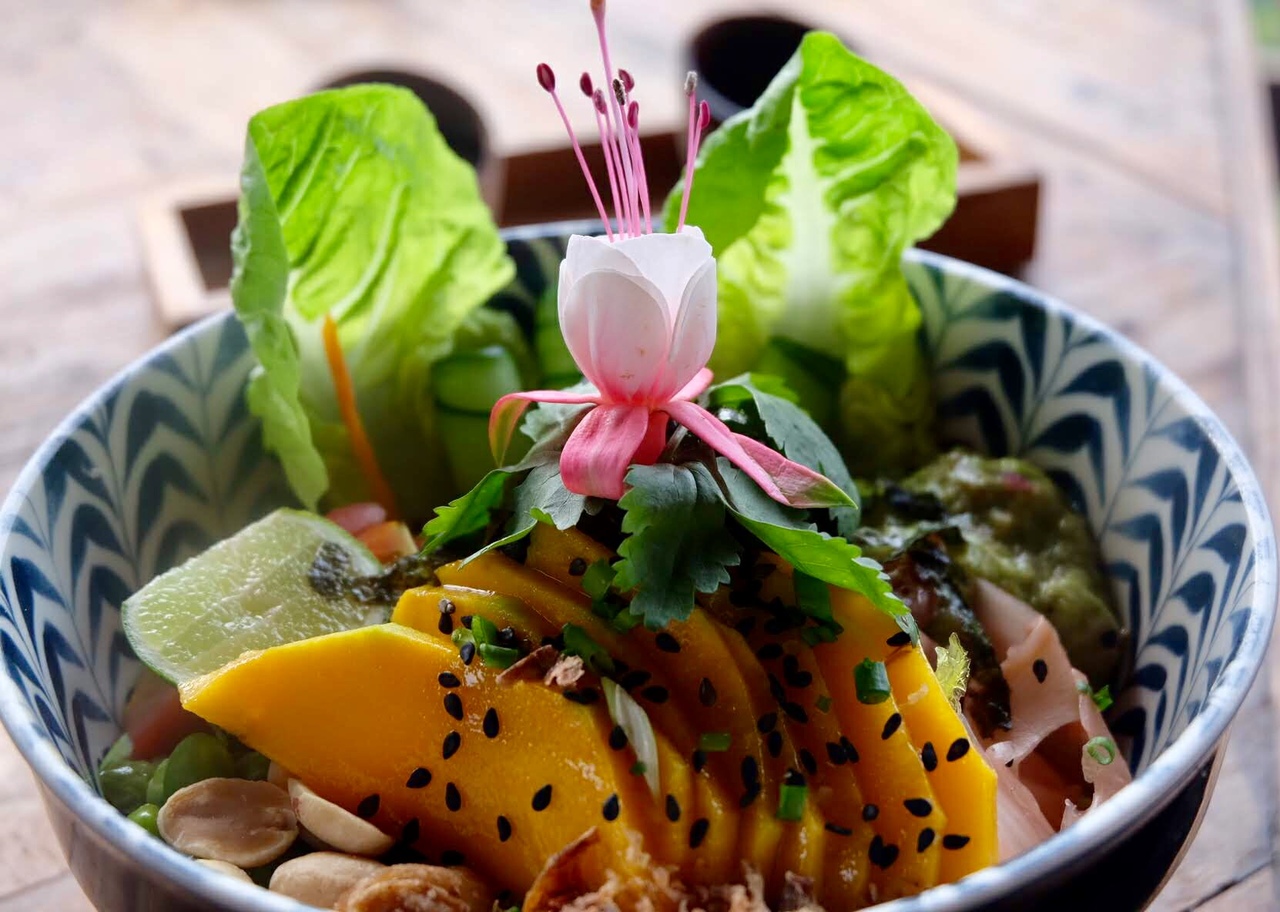 Nalu Bowls Shelter Bali