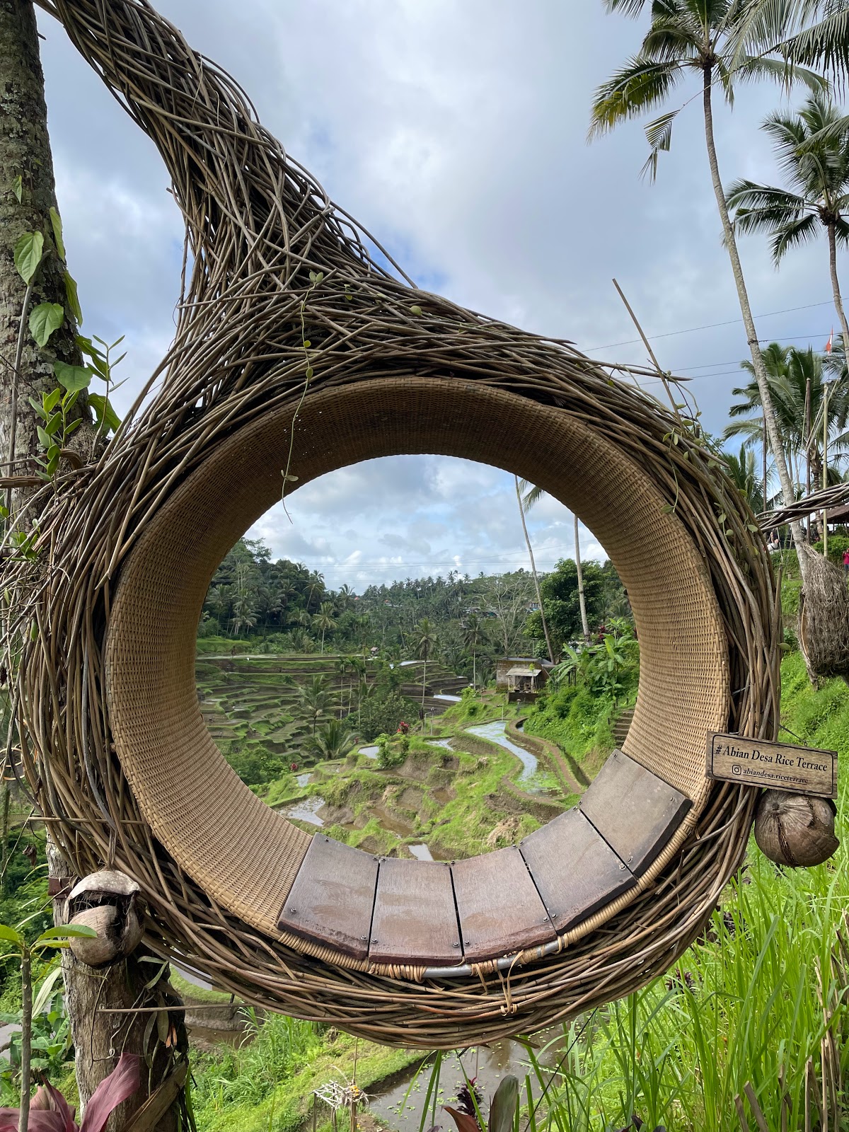 Ceking Rice Terrace