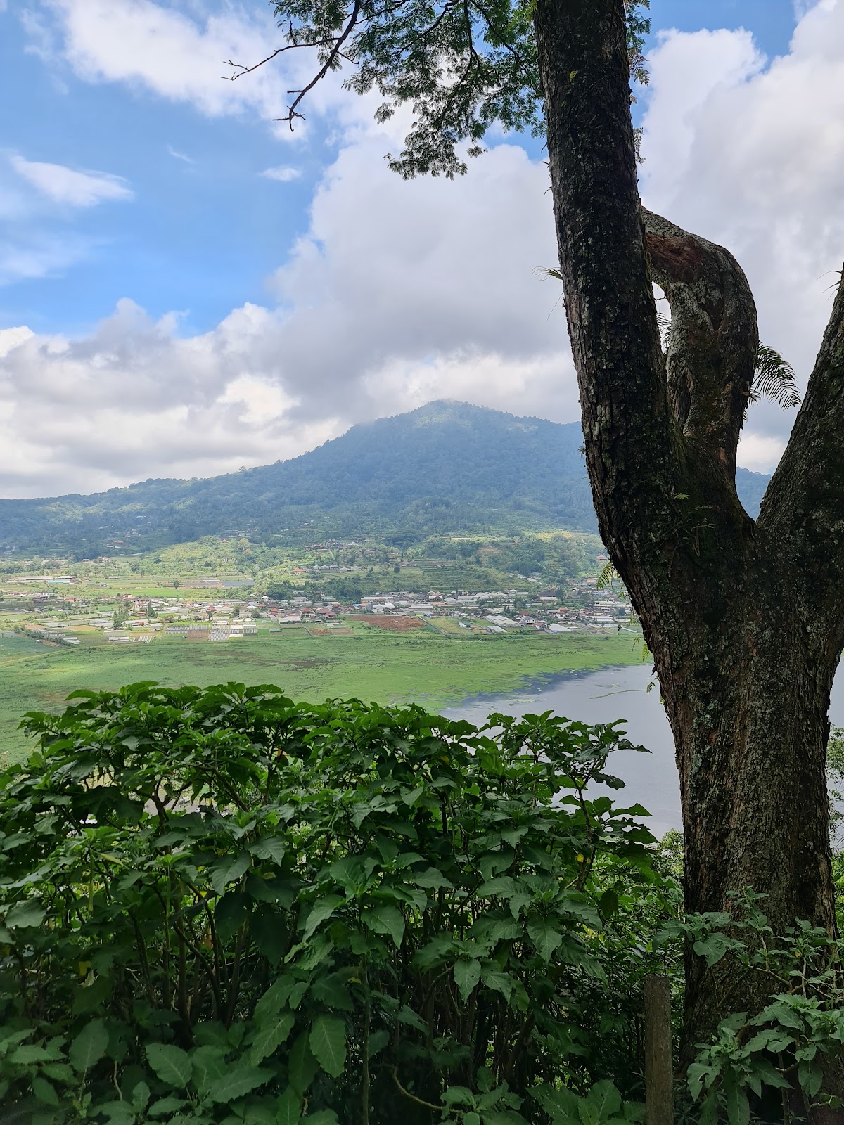 Viewing platform Puncak Wanagiri 103870