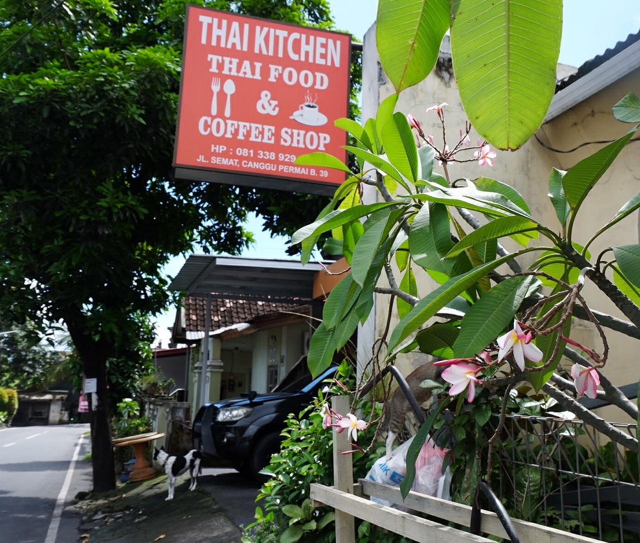 Thai Kitchen