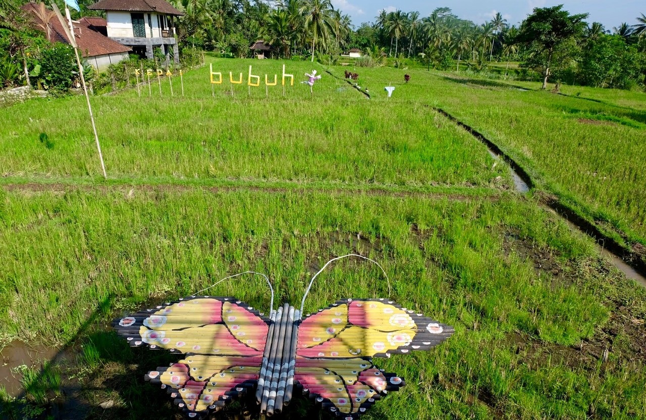 Kedai Bubuh