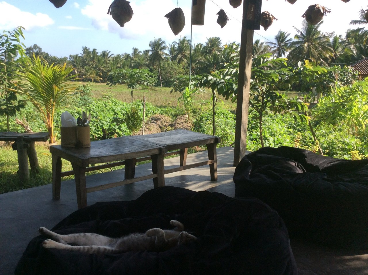 Sweet Orange Warung