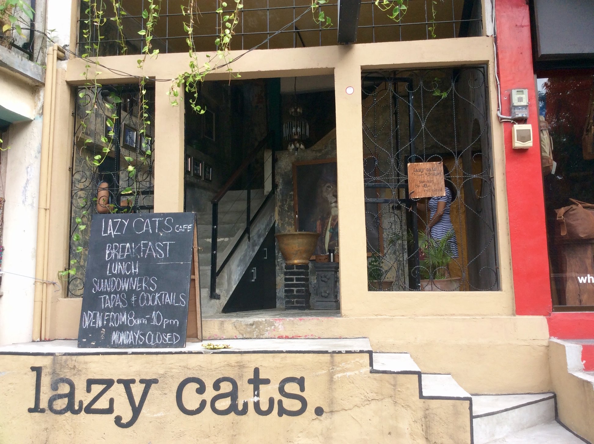 Lazy Cats Cafe