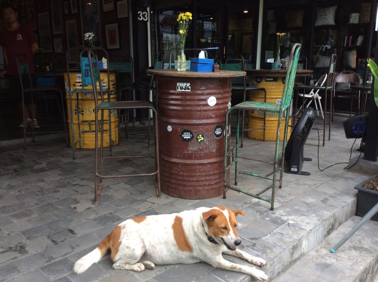 Canteen Cafe