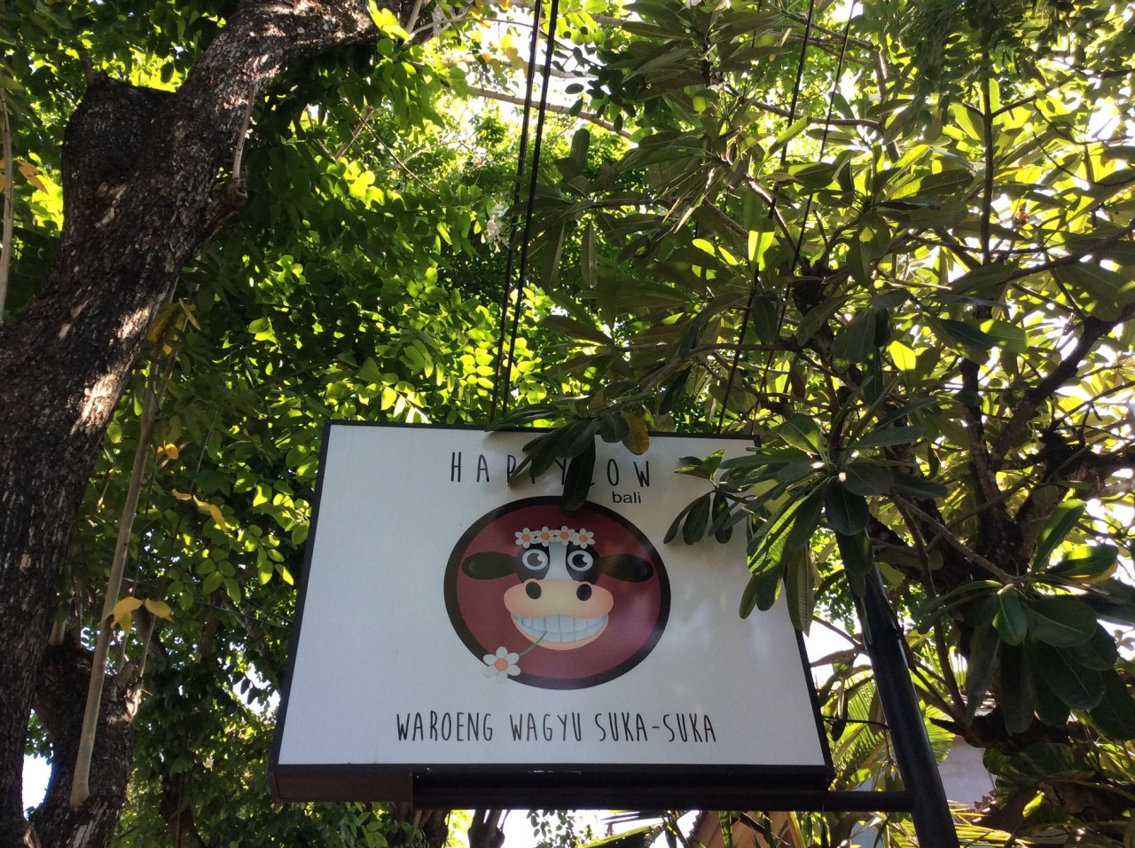 Happy Cow Bali
