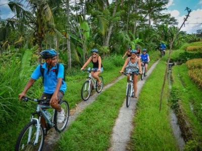 Cycling Tour in Bali