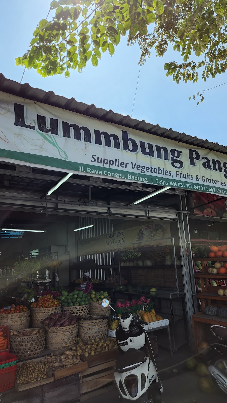 LUMMBUNG PANGAN