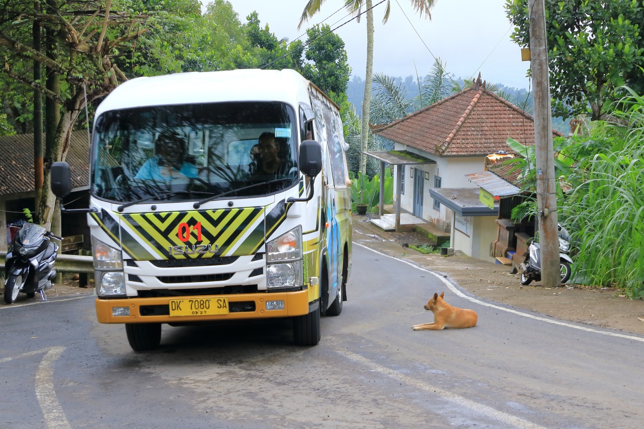 Bali's Getting New Bus Routes and Toll Roads—Travel Just Got Easier!