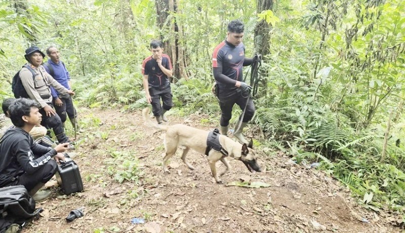 Search for Missing 15-Year-Old Foreigner on Bali's Mount Batukaru Enters 9th Day