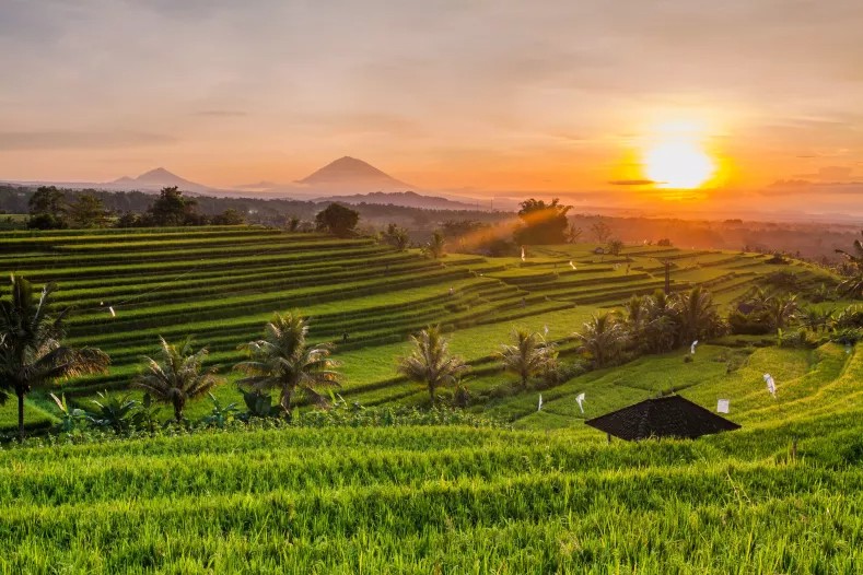 Tour Package: Must-See in Bali