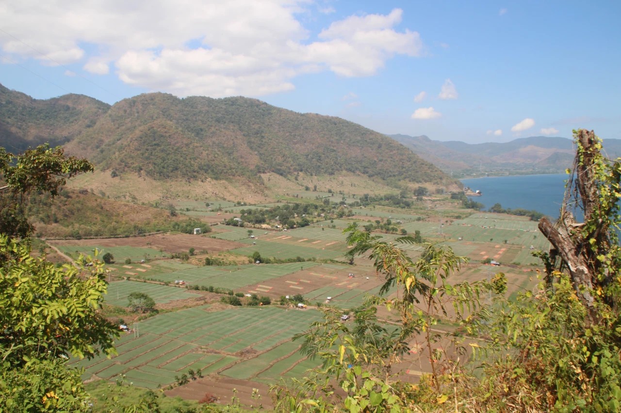 DIY Adventure: Up Close with Whale Sharks and Komodo Dragons!