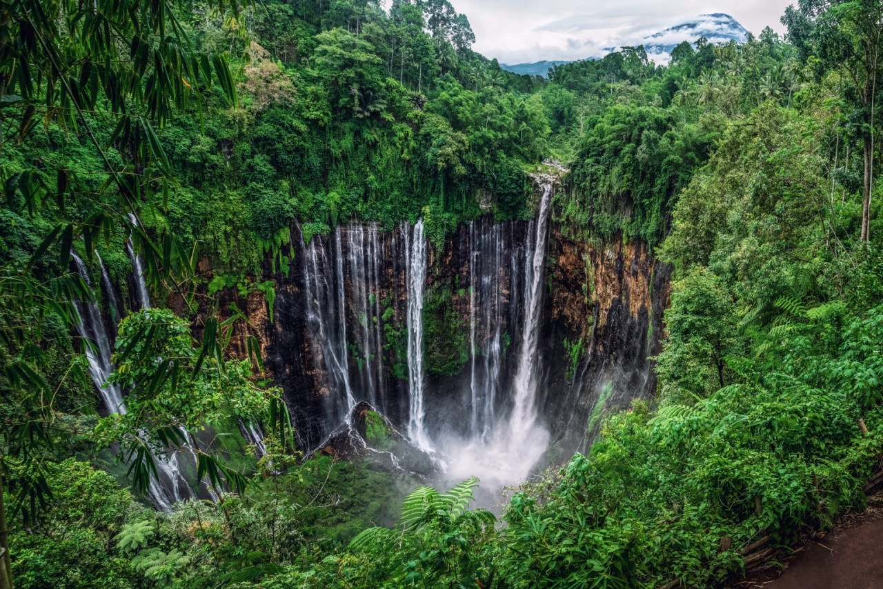 The Waterfalls of Java