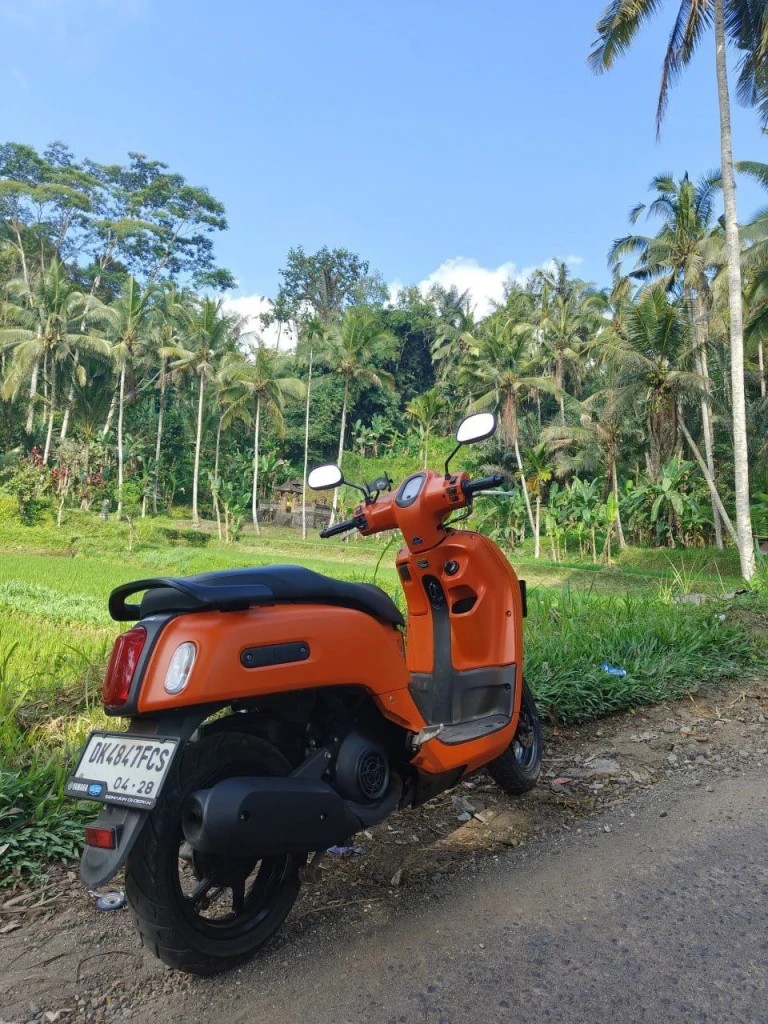 Arrived in Bali and want to rent a scooter?