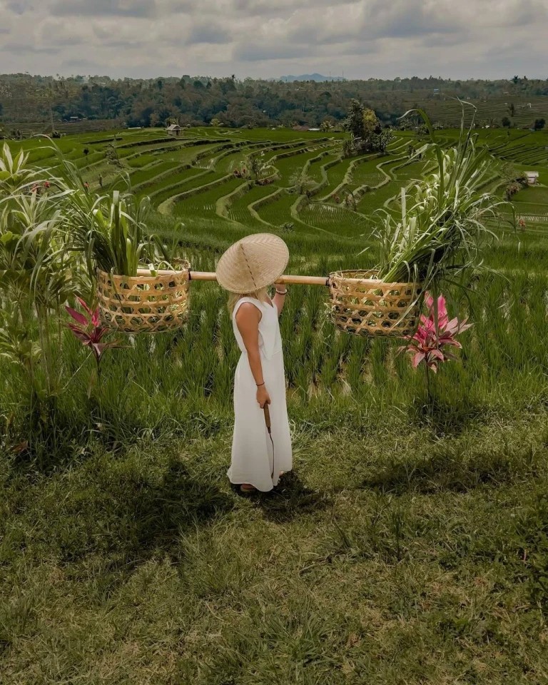 Jatiluwih Rice Terraces