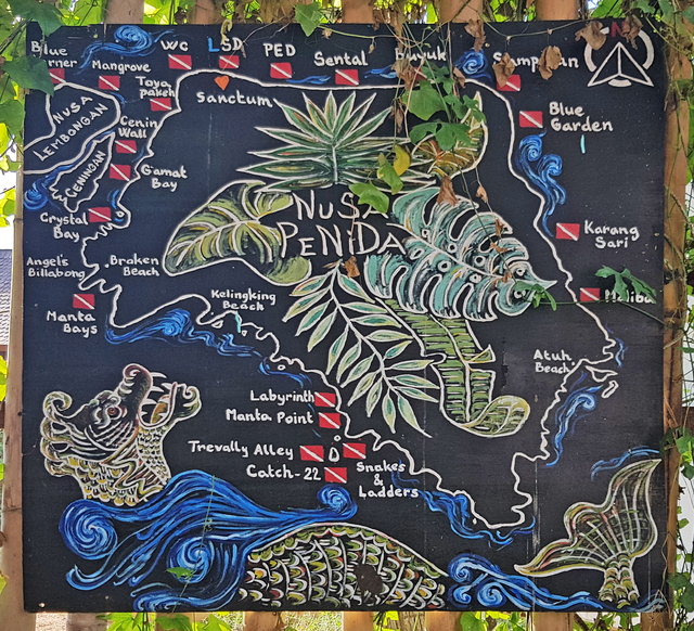 Best Scuba Diving Sites on Nusa Penida Island