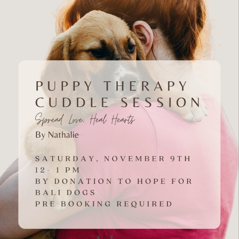 Family Puppy Therapy Cuddle Session 188750