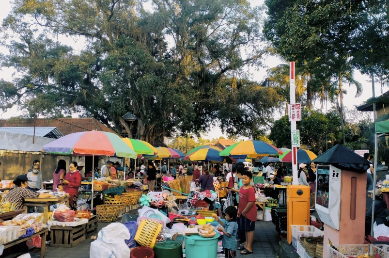 Food markets and stores in Ubud. Where to buy fruits and vegetables in Ubud?