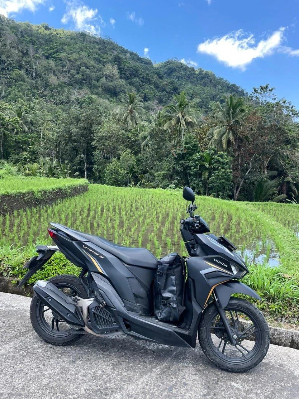 Honda VARIO 125 in Bali