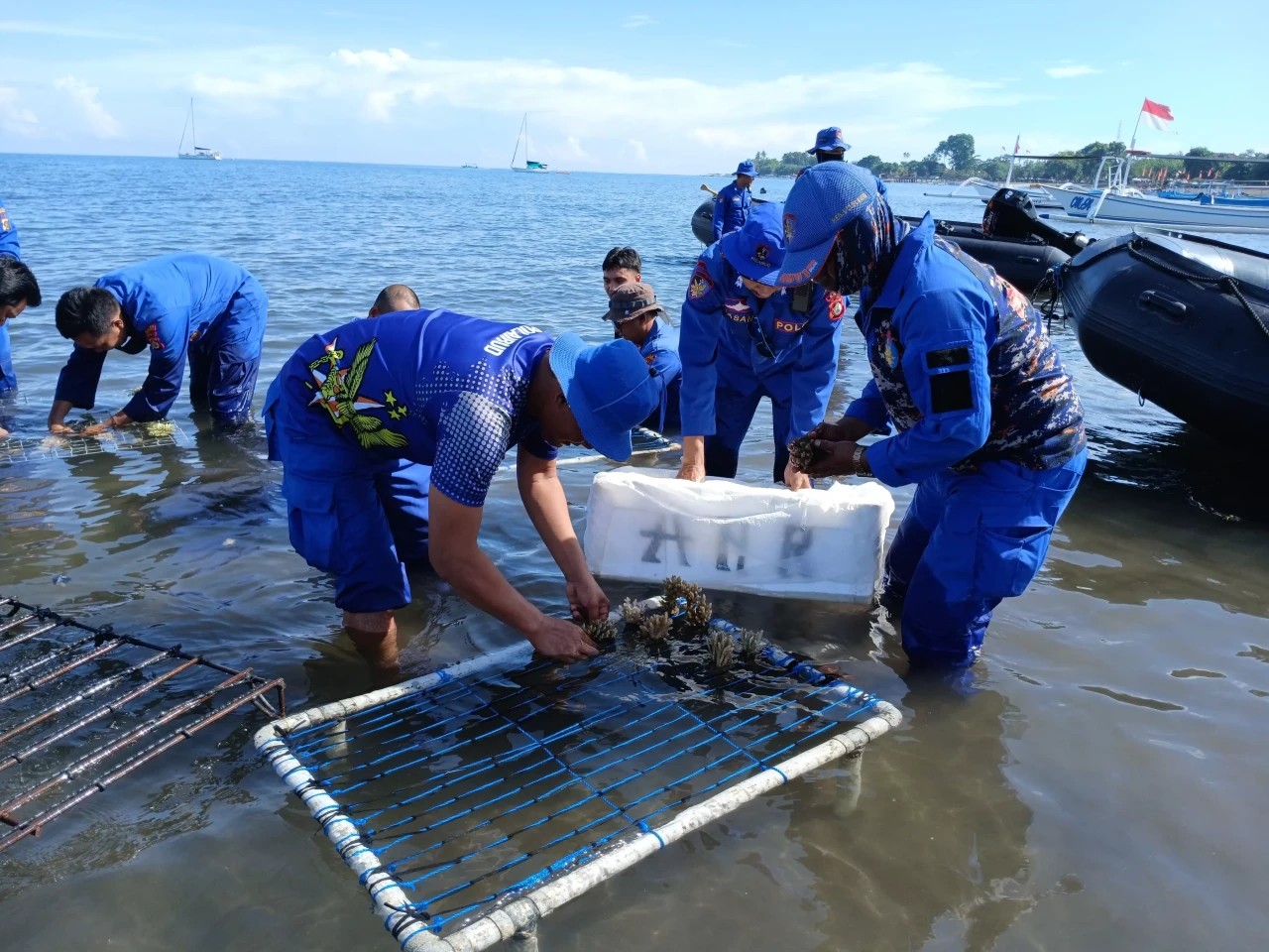 Bali’s Coral Comeback: 300 ‘Underwater Trees’ Planted at Lovina Beach!