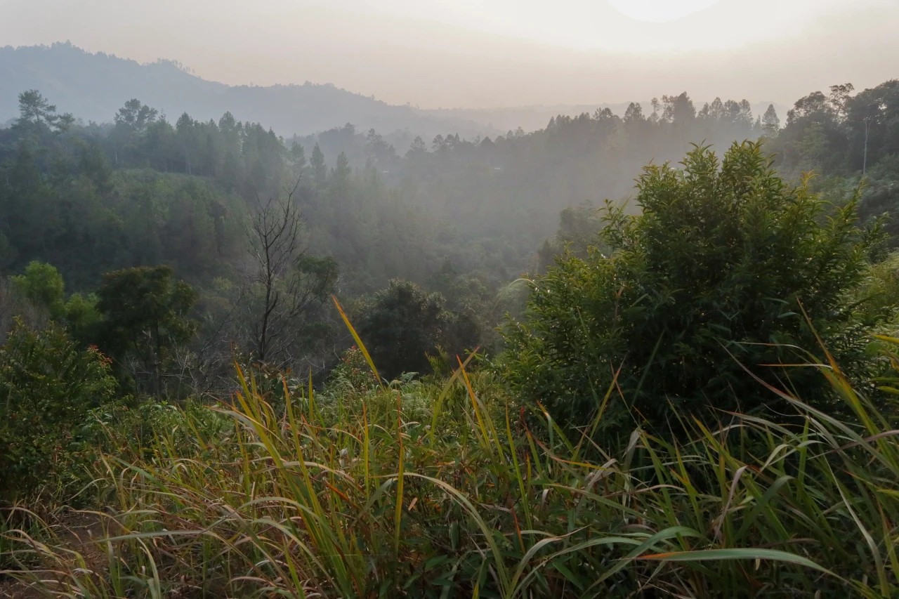 Bali Battles High Air Pollution Levels: What’s Behind the Haze?